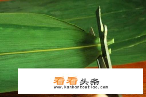 鲜粽叶怎么处理？