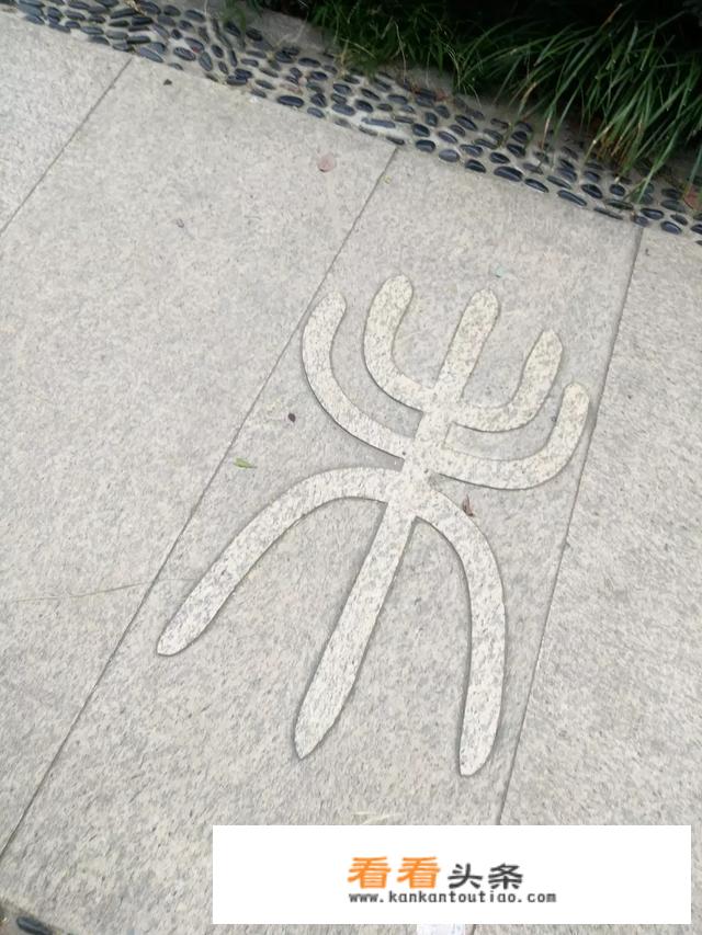 如何组织一次学生旅游活动？