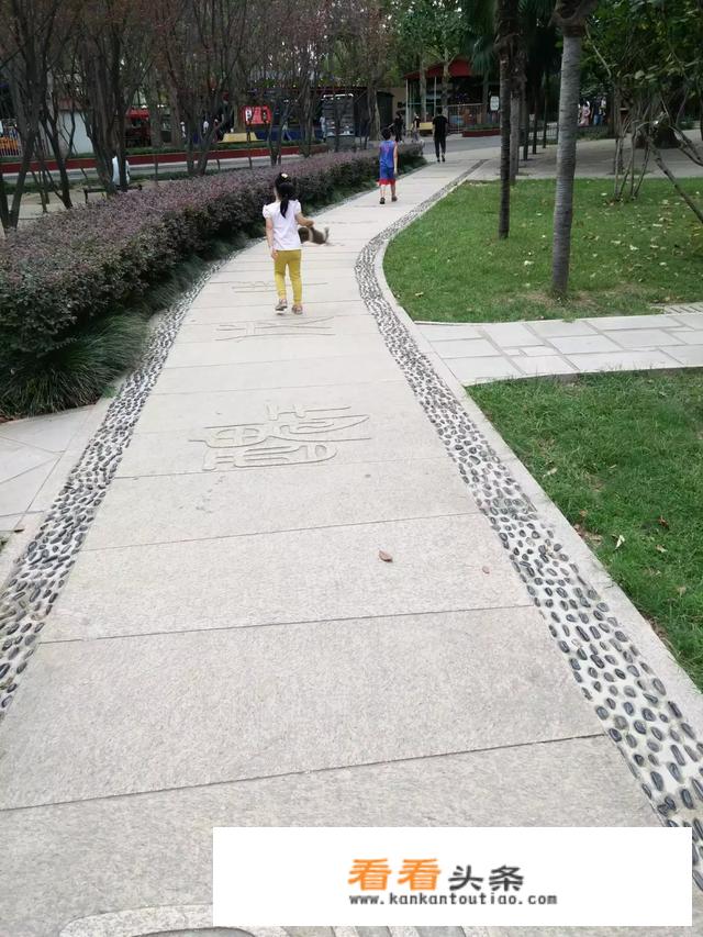 如何组织一次学生旅游活动？