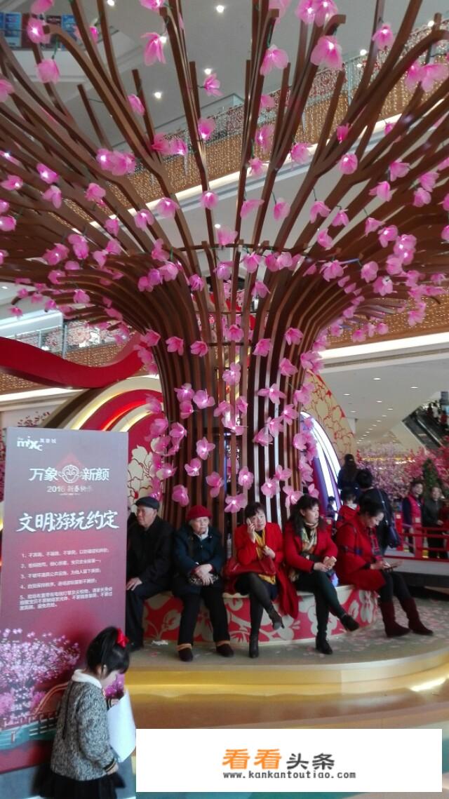 1月份越南下龙湾的天气情况？