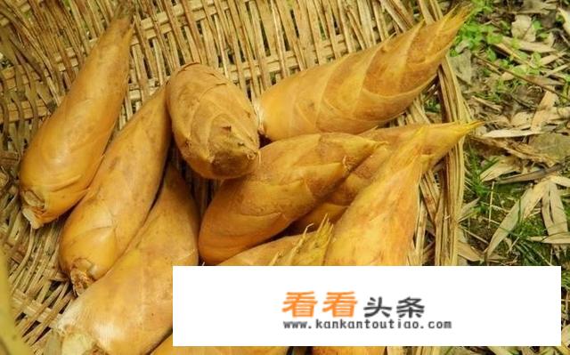 冬笋有什么营养价值？