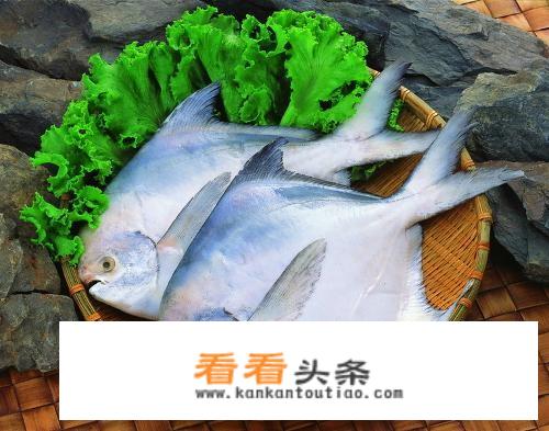 金鲳鱼腥味很重么？