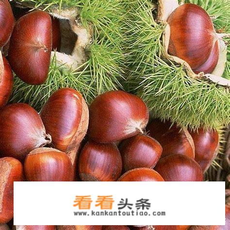板栗鸡的最正宗做法？