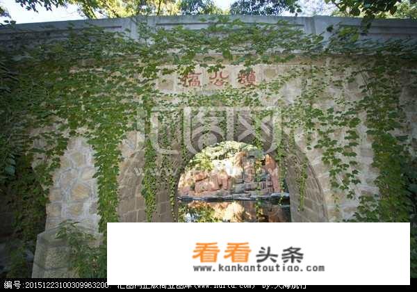 旅行找灵感名人？