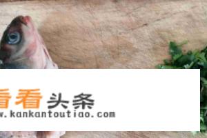 清炖鱼头汤的做法？