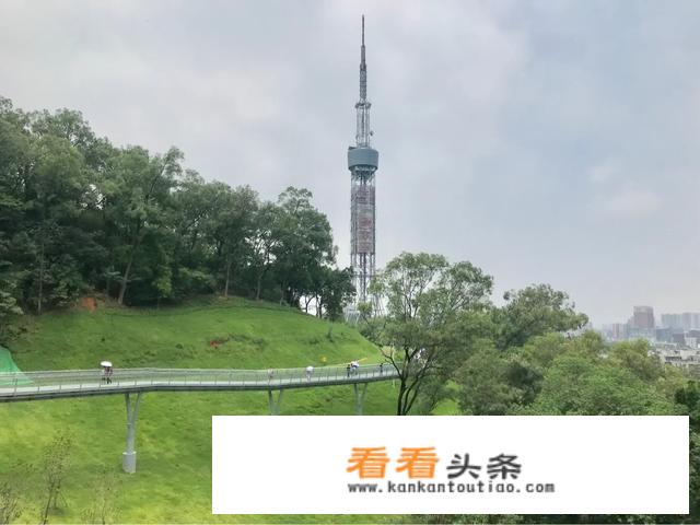 有的人穷游却到每个地方总爱抱怨吐槽当地的旅游，你怎么看？