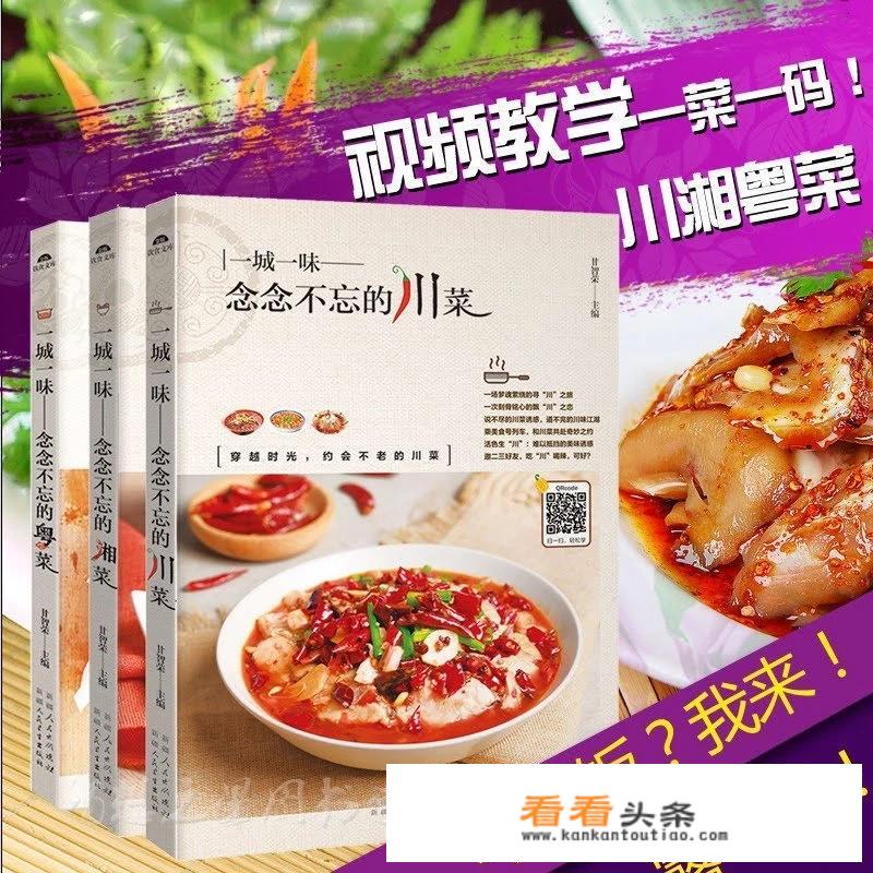 有没有学川、湘菜的详细教程？