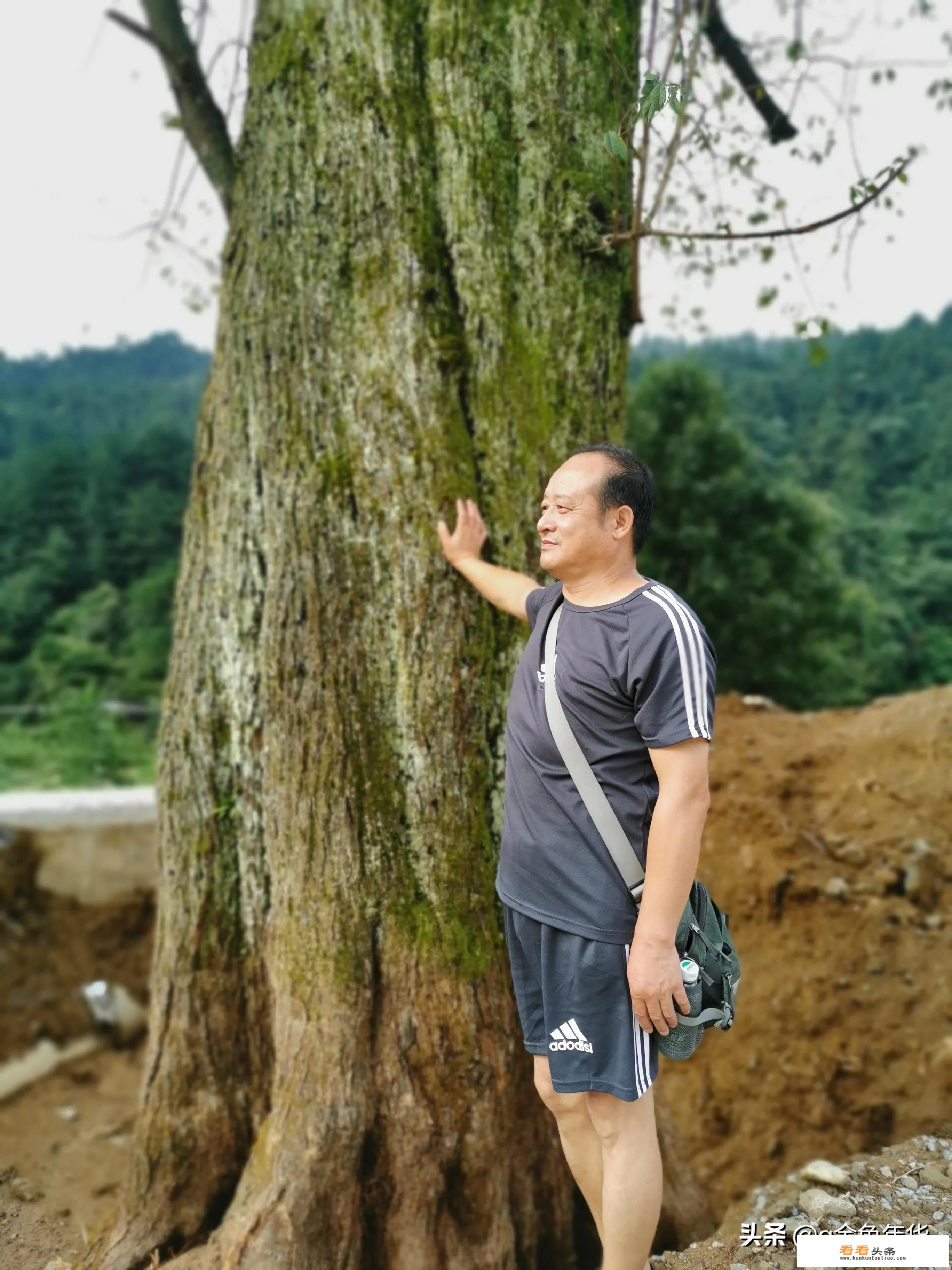 自己一个人出去旅游有意思吗？