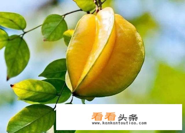 谁用过好用的游记类APP？