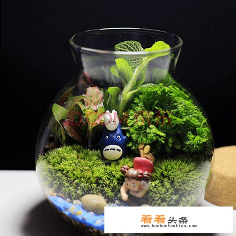 踏青游玩可以指夏天吗？