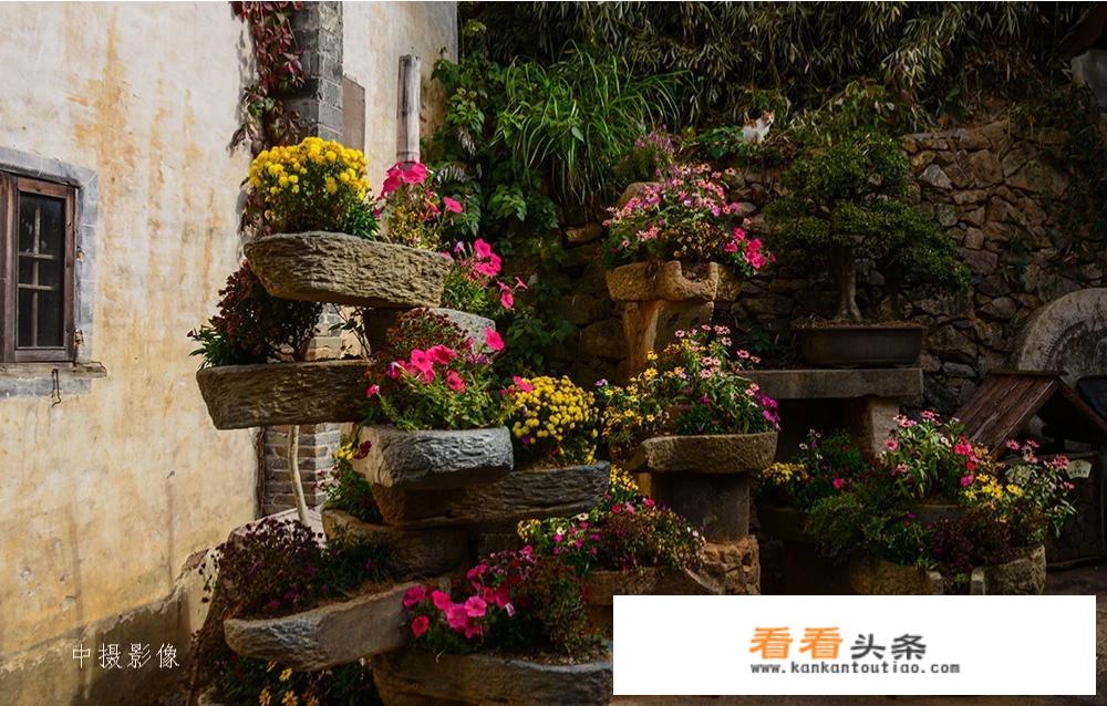 你对旅游或旅行中的摄影重视吗？