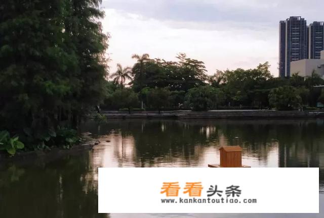 佛山顺德有几所大学对外开放游玩？