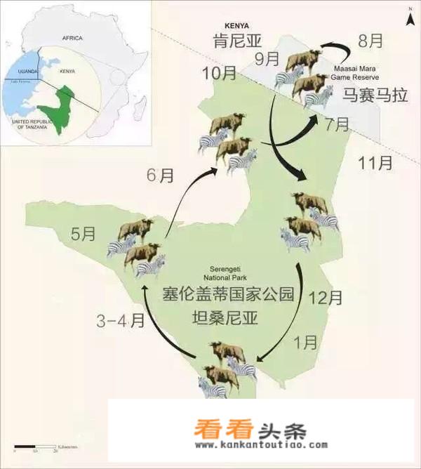 准备去肯尼亚旅行，需要做哪些功课？