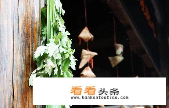 端午节旅游攻略？