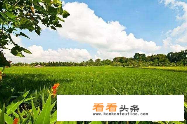 端午节旅游攻略？