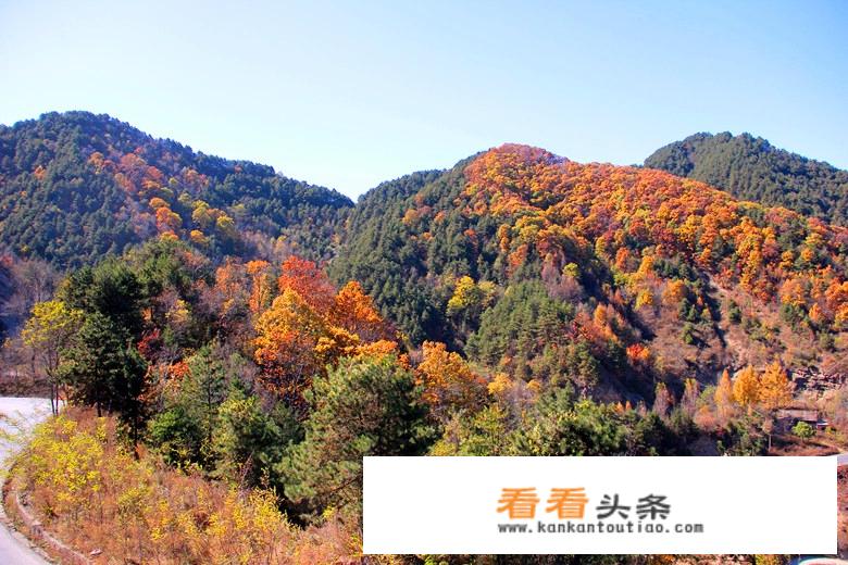 信阳新农村旅游景点？