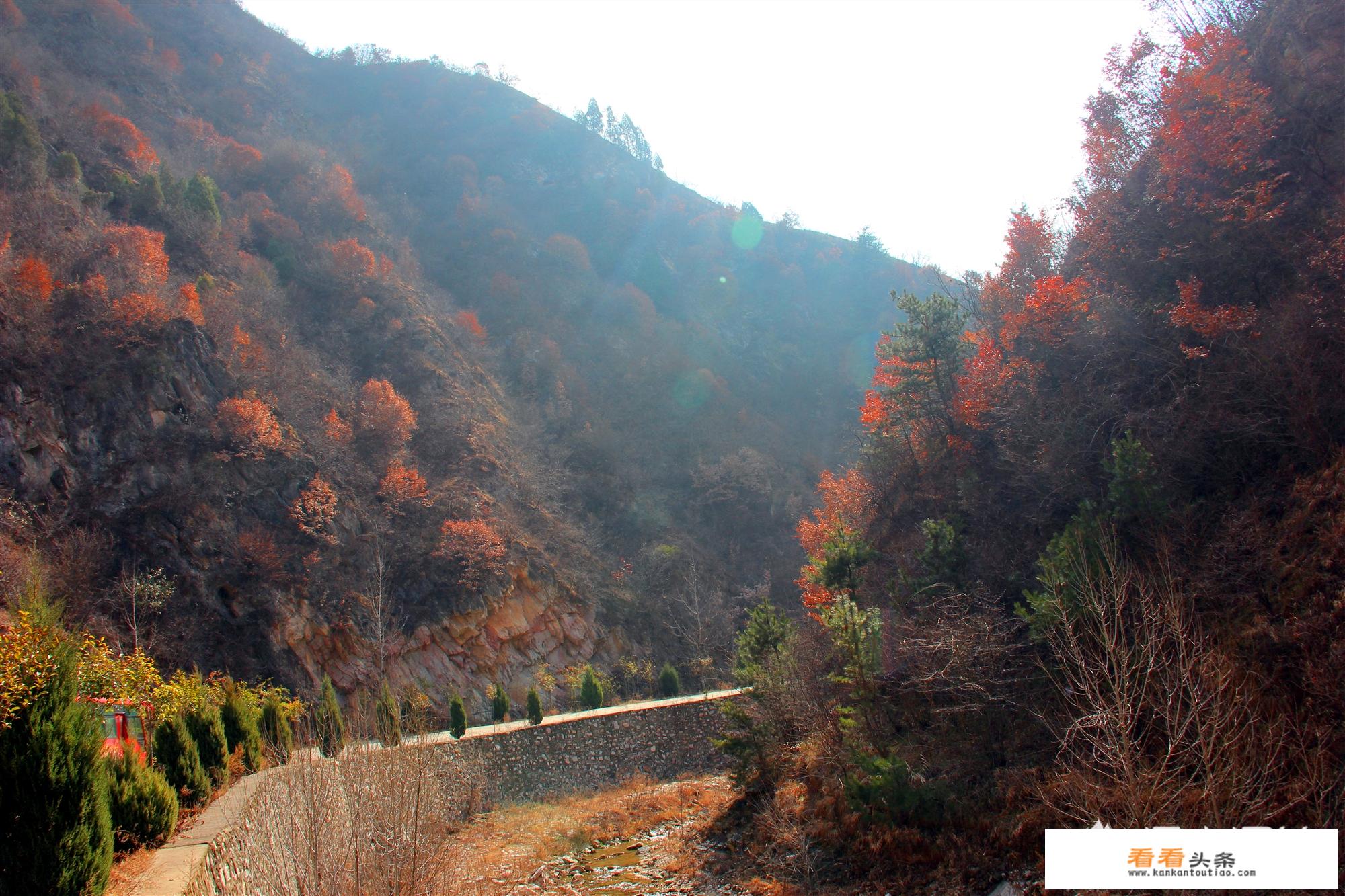 信阳新农村旅游景点？
