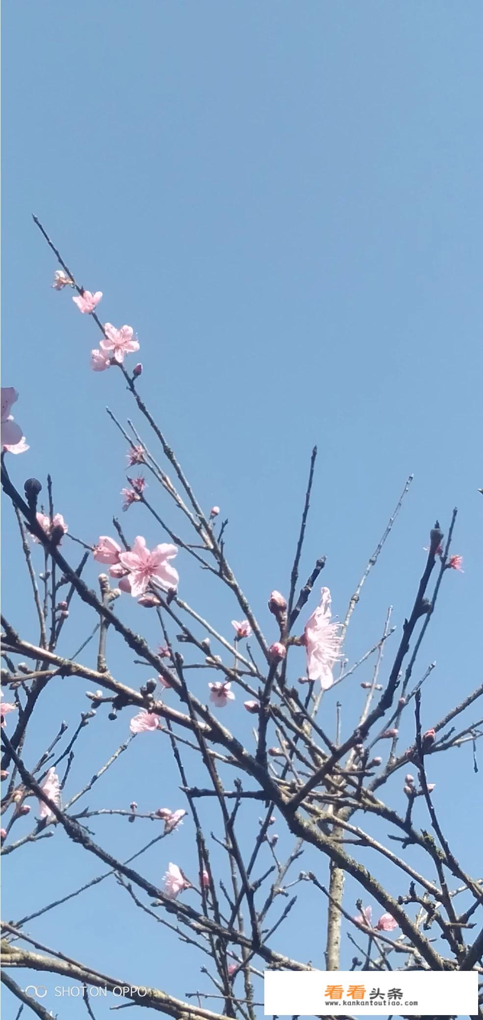 农村留守族，80后居多，你怎么看？