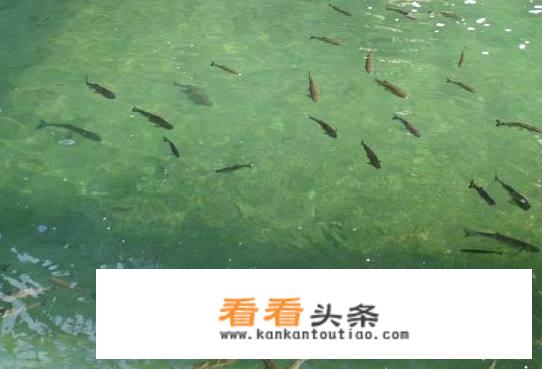 公园小河边心情说说？