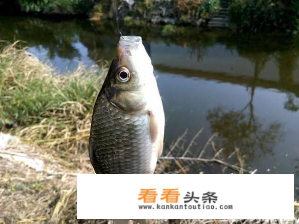 公园小河边心情说说？