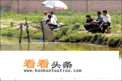 公园小河边心情说说？