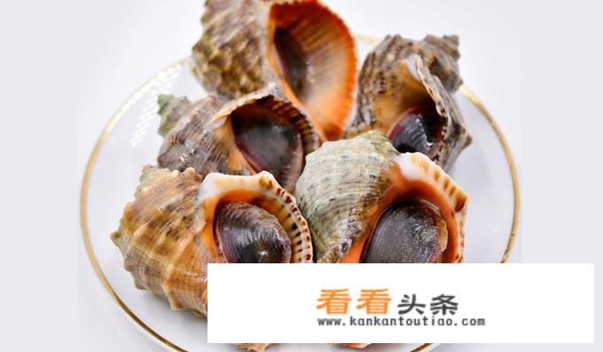 海螺怎么做才是最简单更好吃？