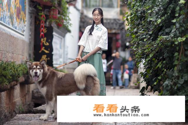 什么是高端私人定制旅游？