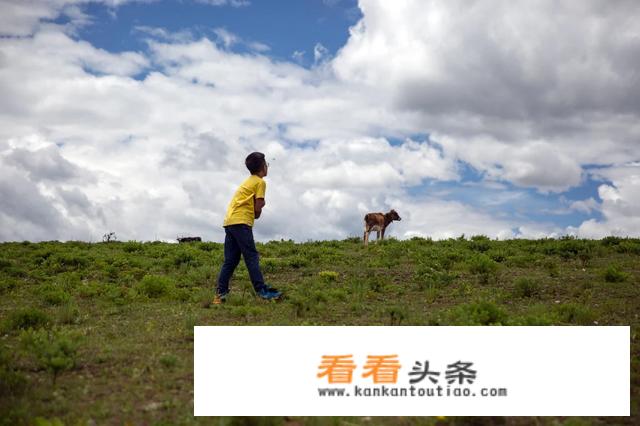 什么是高端私人定制旅游？