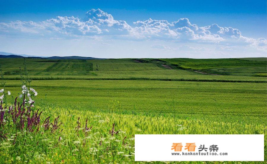 今年有什么旅行计划？