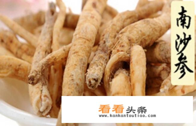常见的南沙参有什么作用和药效？