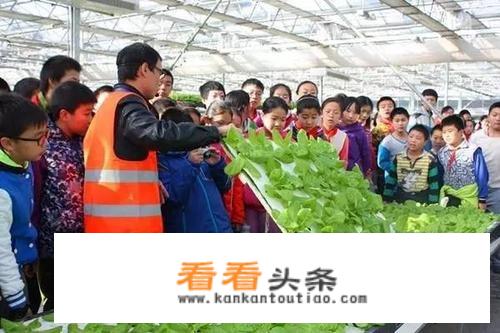 123微旅行淮安音乐节怎么退票？