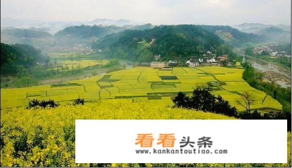 邵阳绥宁县聚焦聚力推进文化旅游领域扫黑除恶, 你怎么看？