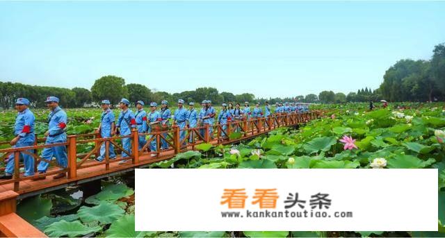灰尘的旅行清水和浊水读后感？