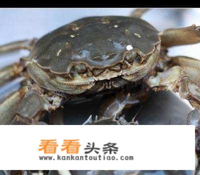 灰尘的旅行清水和浊水读后感？