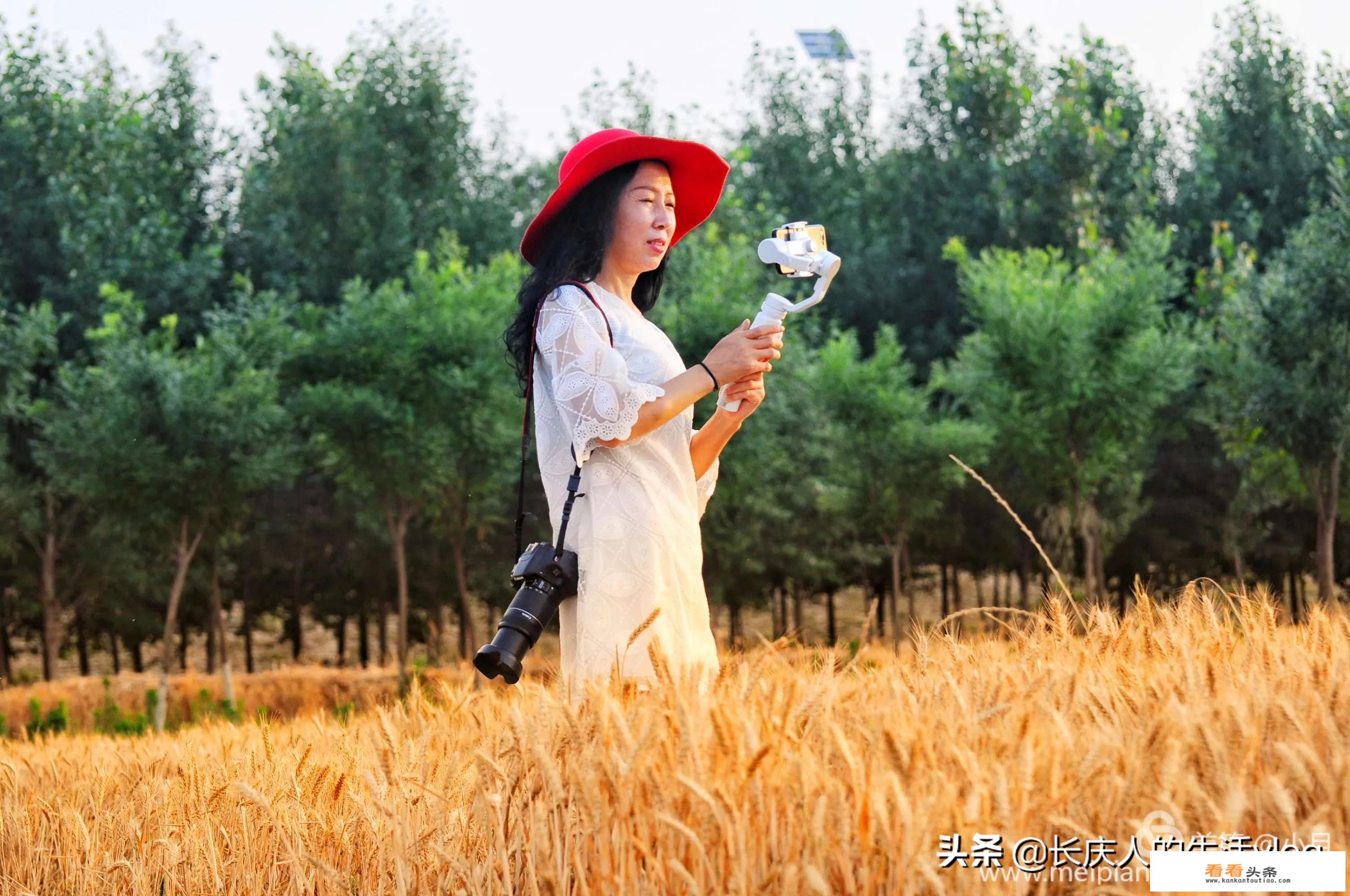 旅游产业发展现状及趋势？