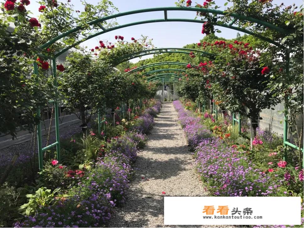 提问：今年适合旅行或者说出国旅行吗？