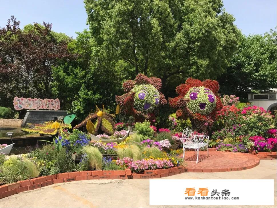 提问：今年适合旅行或者说出国旅行吗？