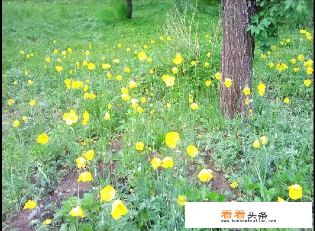 五一的天气适合去哪旅游？