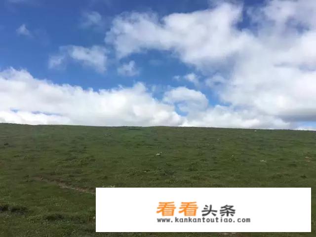 忻州芦芽山为什么被称为“北方香格里拉”？