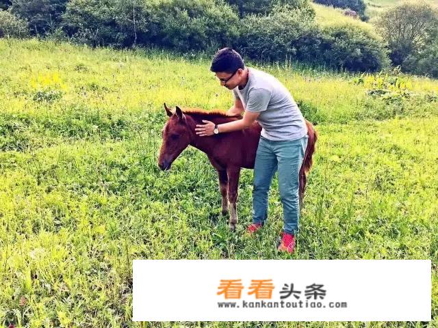 忻州芦芽山为什么被称为“北方香格里拉”？