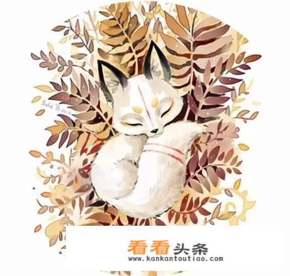 怎样做一些好吃简易营养清淡的粥？