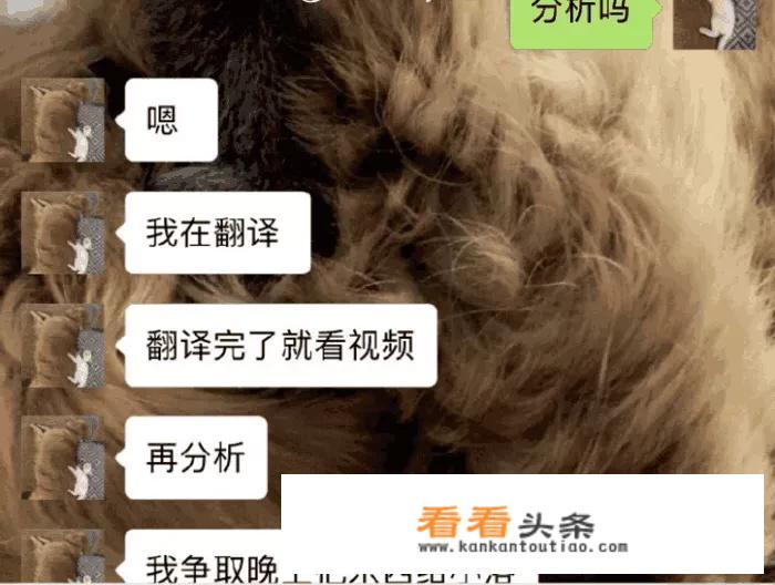 LOL解说致幻熬夜为IG分析BP，网友称“一心为LPL，向你道歉”，你怎么看？