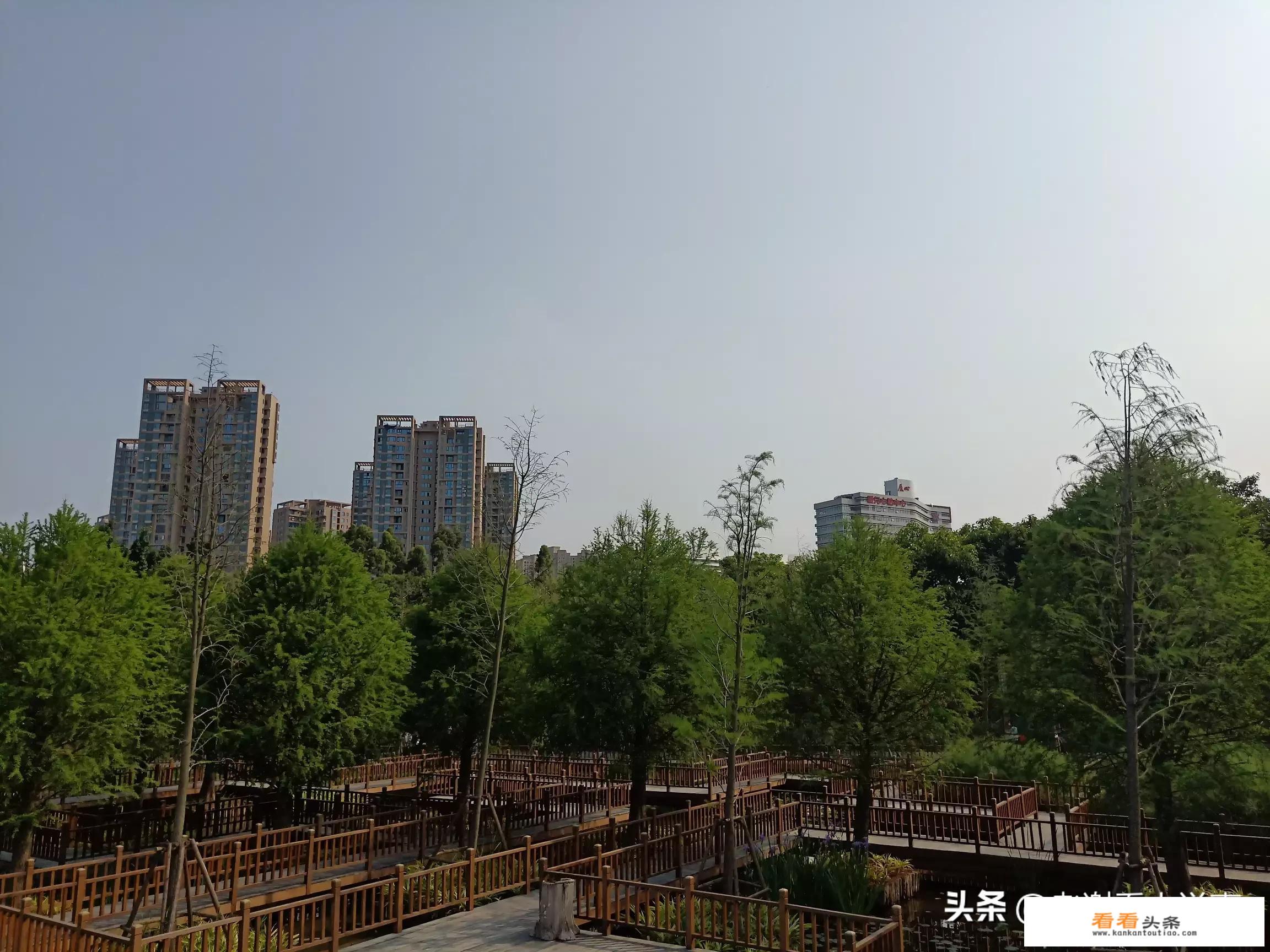 旅游是我唯一的爱好，最近纠结要不要买房，爱好重要还是房子重要？
