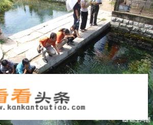 济宁泗水，泉林旅游如何？