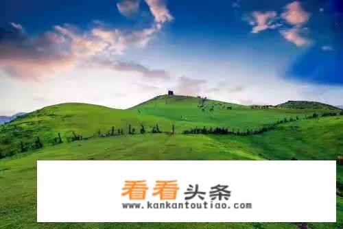 东江湖自驾车进园攻略？