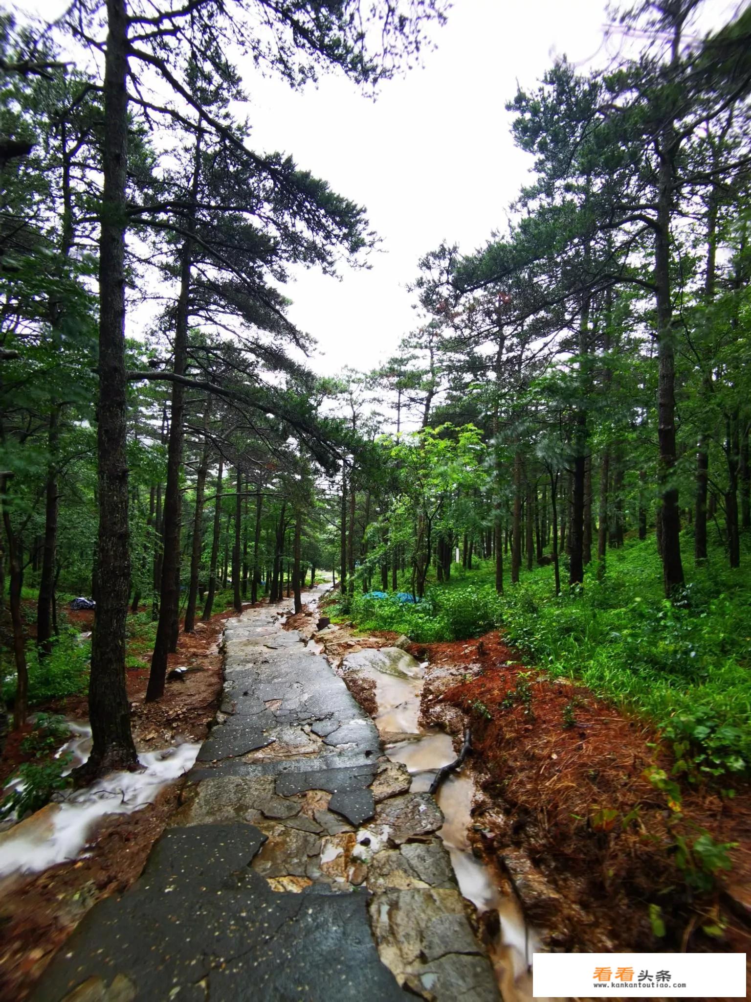 庐山附近有哪些好玩的旅游景点？