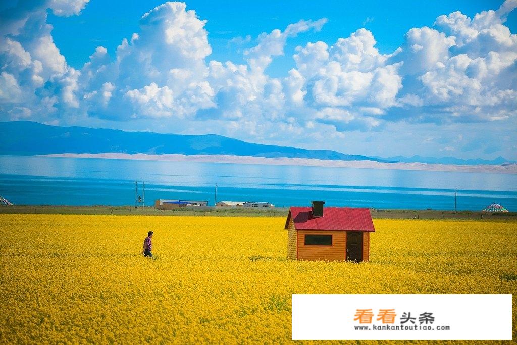 旅游，内蒙，青海，哪个好？
