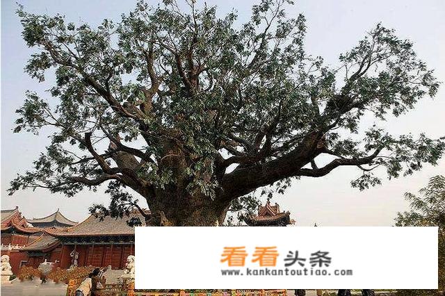 山西古镇旅游景点？