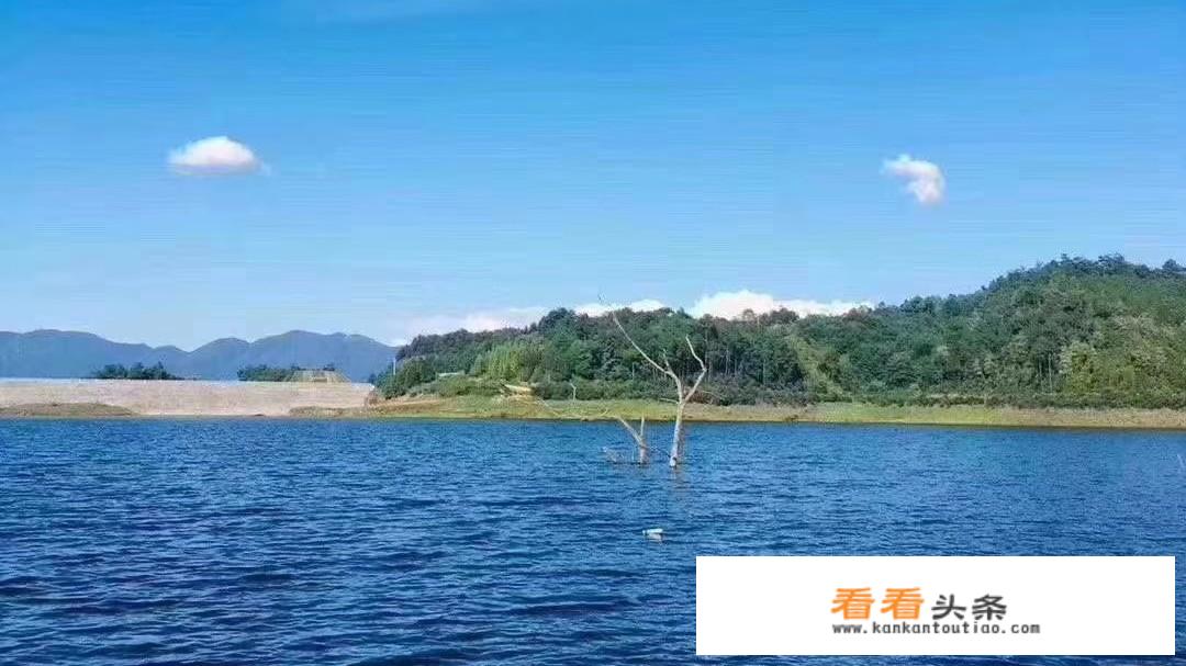 全域旅游的重要性？