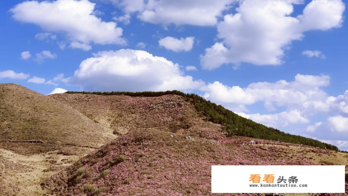全域旅游的重要性？